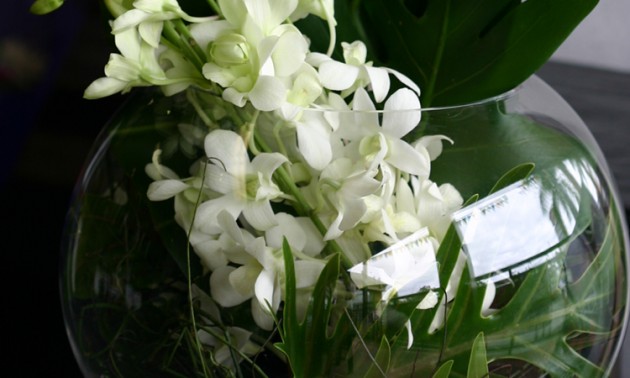 White Orchids in Glass Adam's Garden Florist